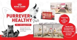 Purrever Healthy Event Key Visual