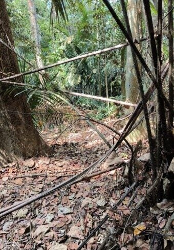 Screenshot 2025 08 04 102440