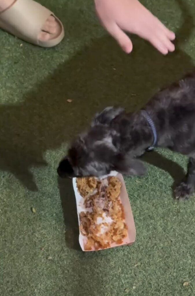 Screenshot 2025 08 04 at 11.14.44 AM