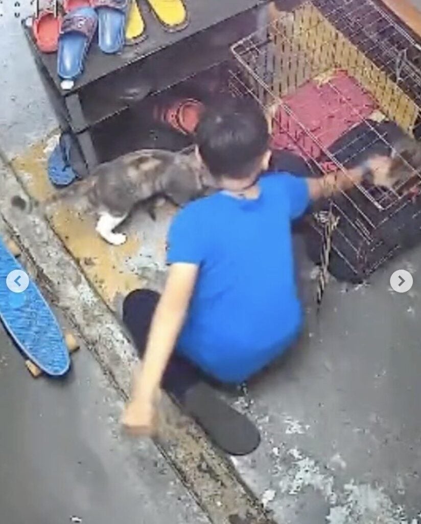 Screenshot 2025 08 11 at 11.49.50 AM