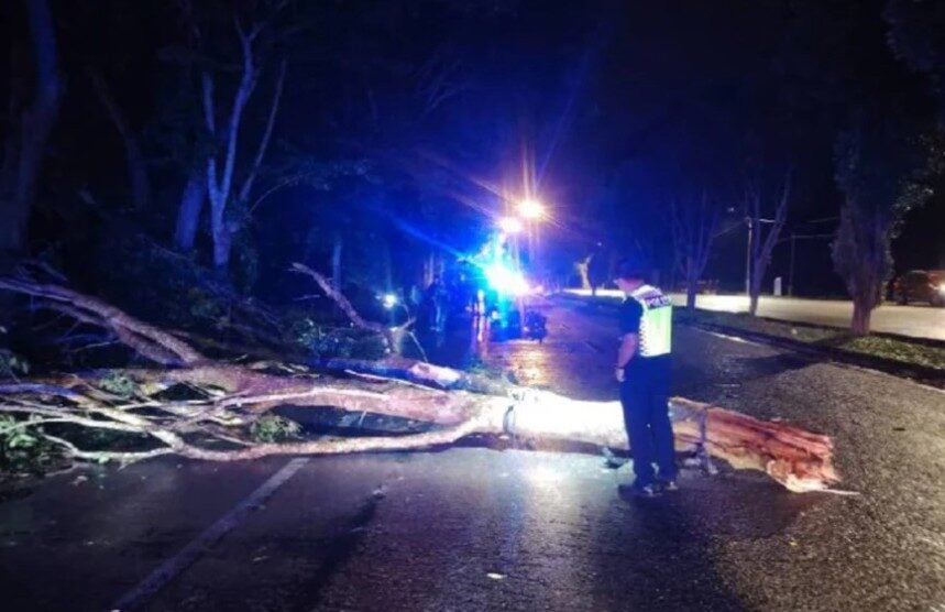 Screenshot 2025 08 12 113841