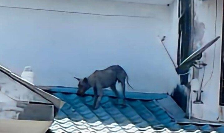 Screenshot 2025 08 28 113138