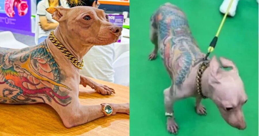 dog tattoo shanghai
