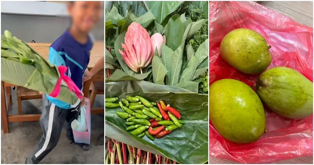 give produce to teacher perak