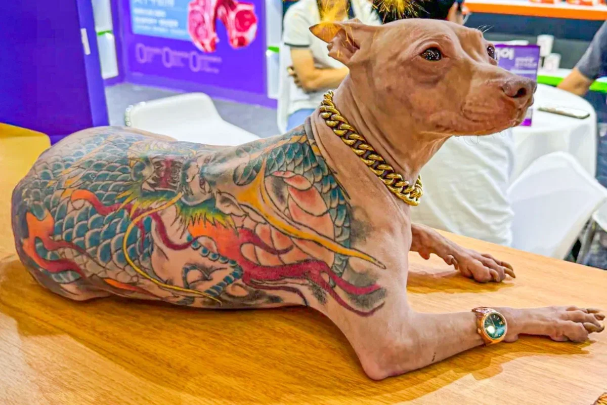tattoo dog