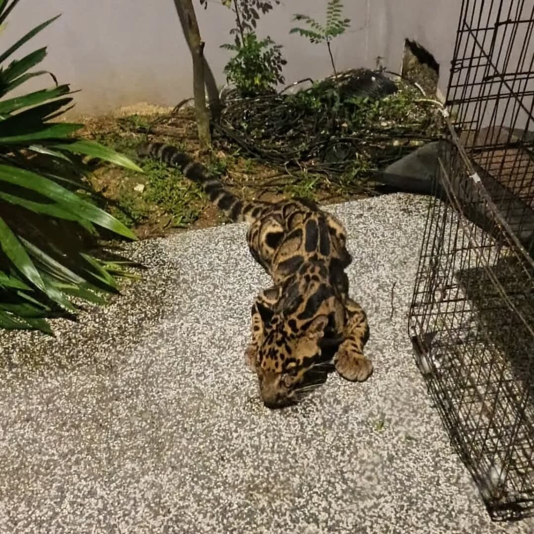 542301377 18526587433027820 9022326518077556094 n