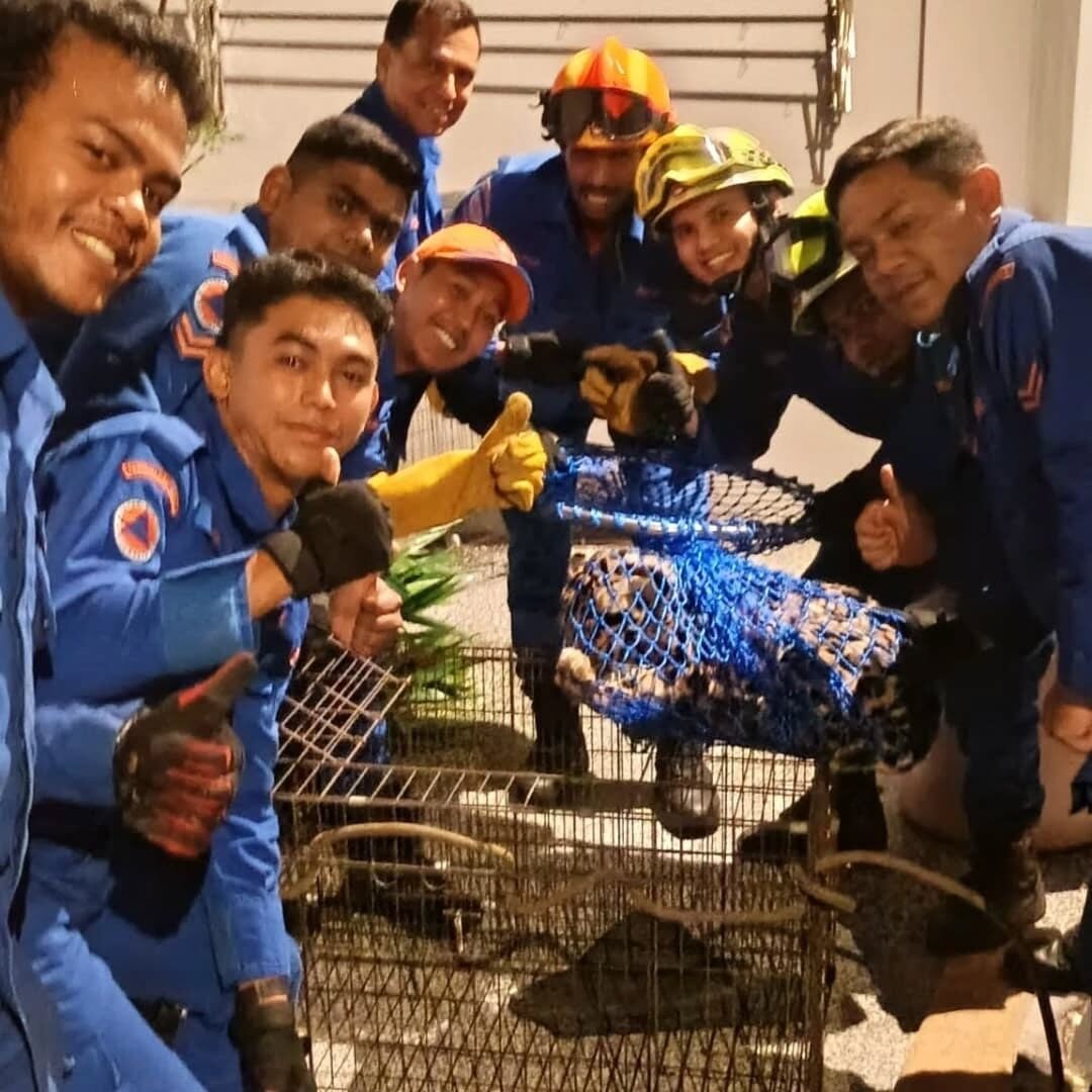 542861030 18526587451027820 8848383803996534844 n