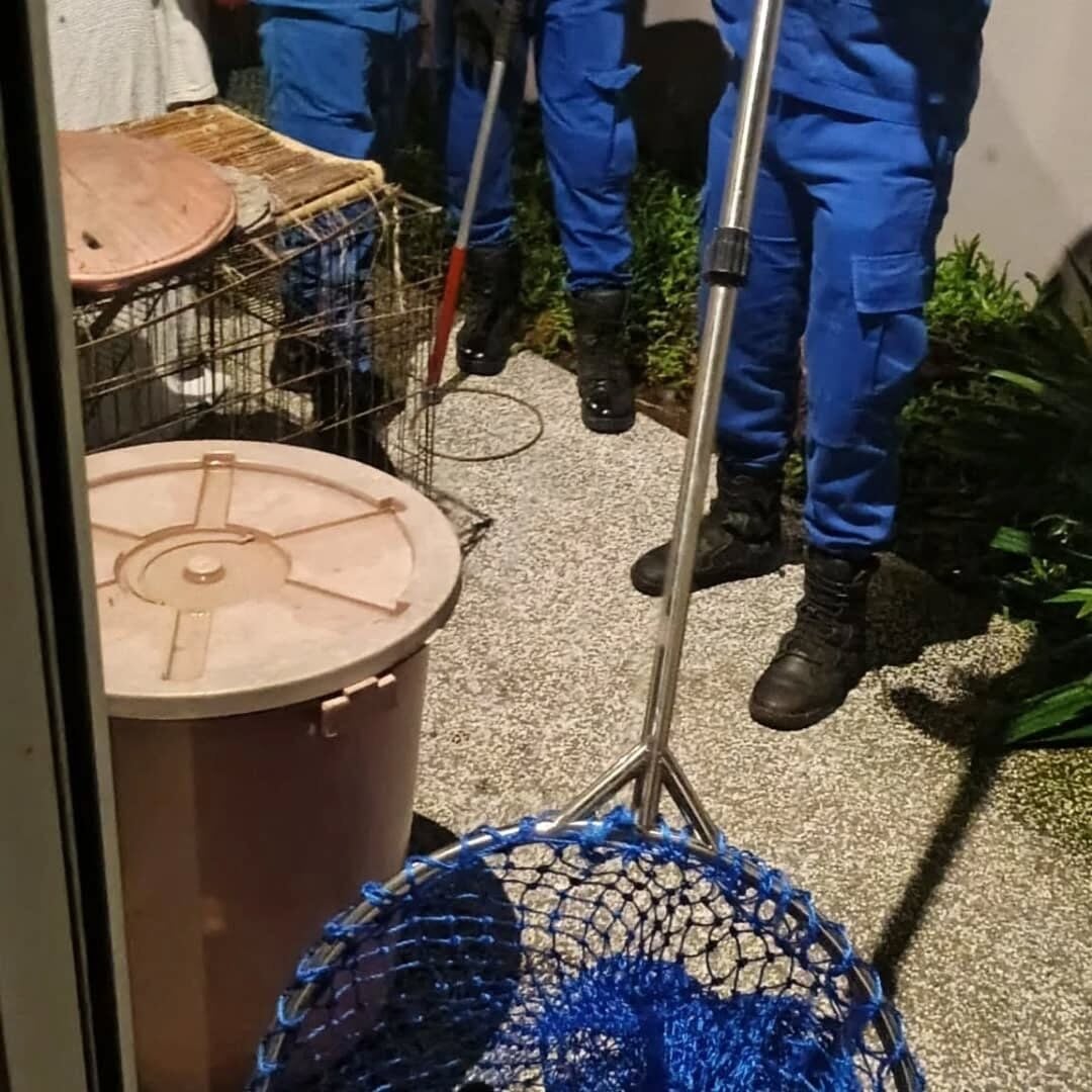 543736918 18526587442027820 7584589633596385358 n