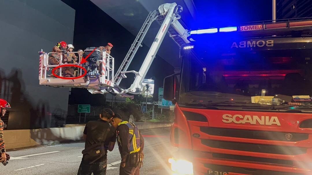 545391761 1215350487305831 4772700974489053366 n 2