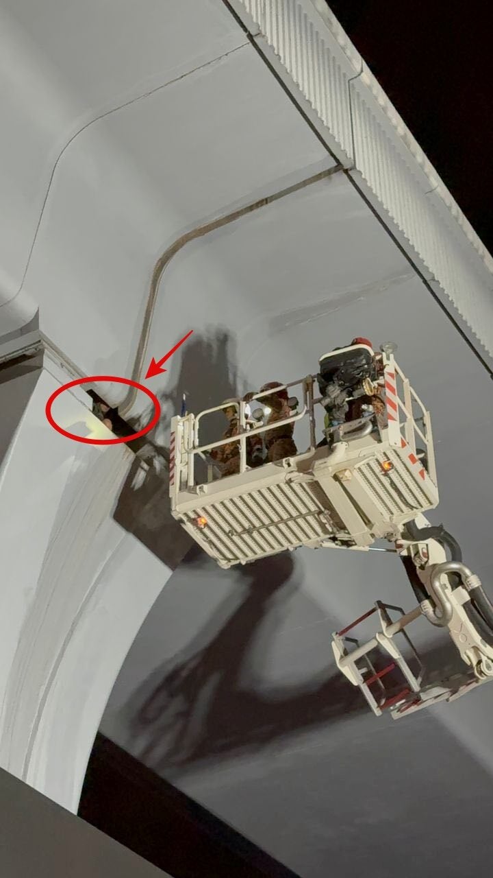 545675900 1215350437305836 1184453137556912548 n 1