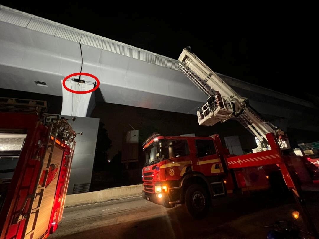 545782607 1215350457305834 2230063766749981415 n 1