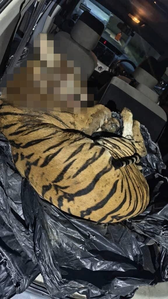 547912629 1254827556676655 3648244956145346602 n