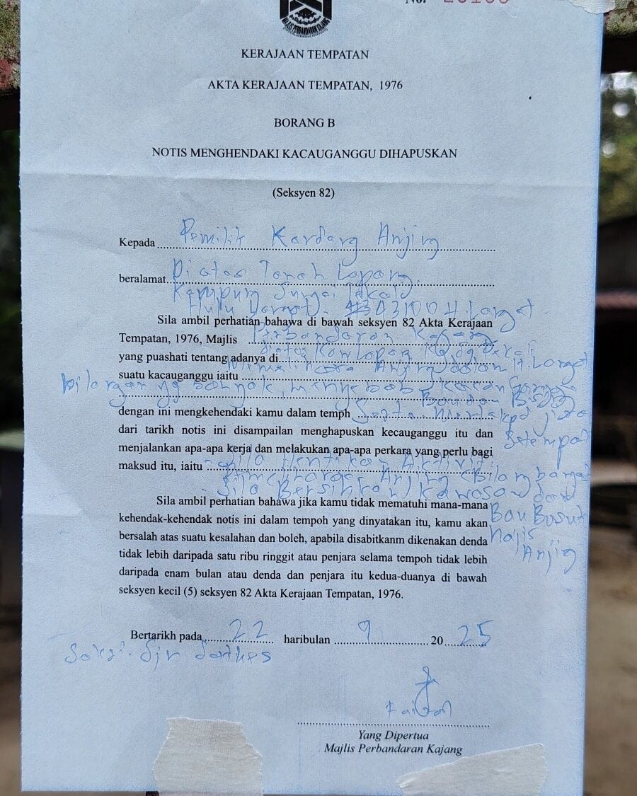 551028328 1236006918571196 260073033853743265 n