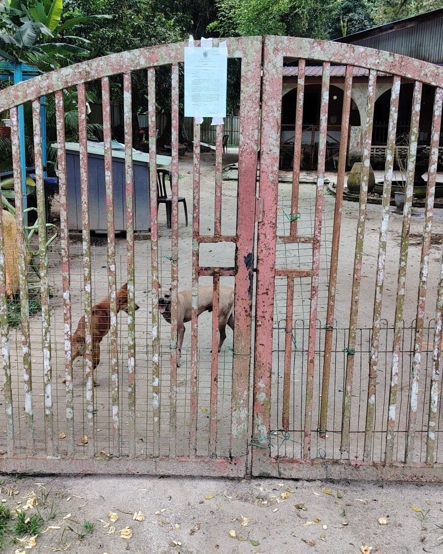 552937585 1236006951904526 9222034642889117337 n