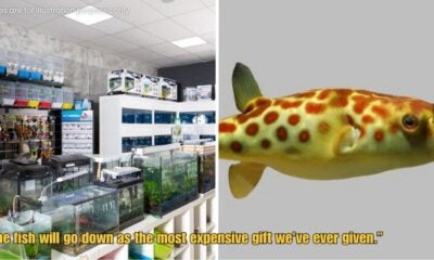 Dd FT 2025 09 17T115142.941