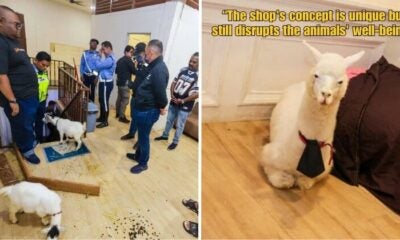 Dd FT 2025 09 22T161319.967