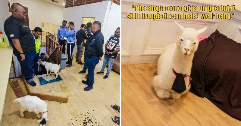 Dd FT 2025 09 22T161319.967