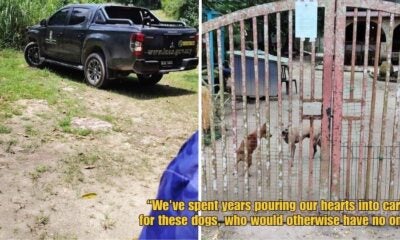 Dd FT 2025 09 23T115828.833