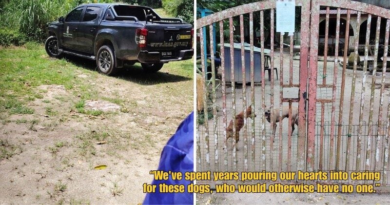 Dd FT 2025 09 23T115828.833