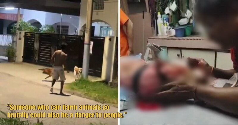 Dd FT 2025 09 29T103607.014