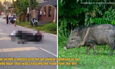 Dd FT 2025 09 29T141320.880