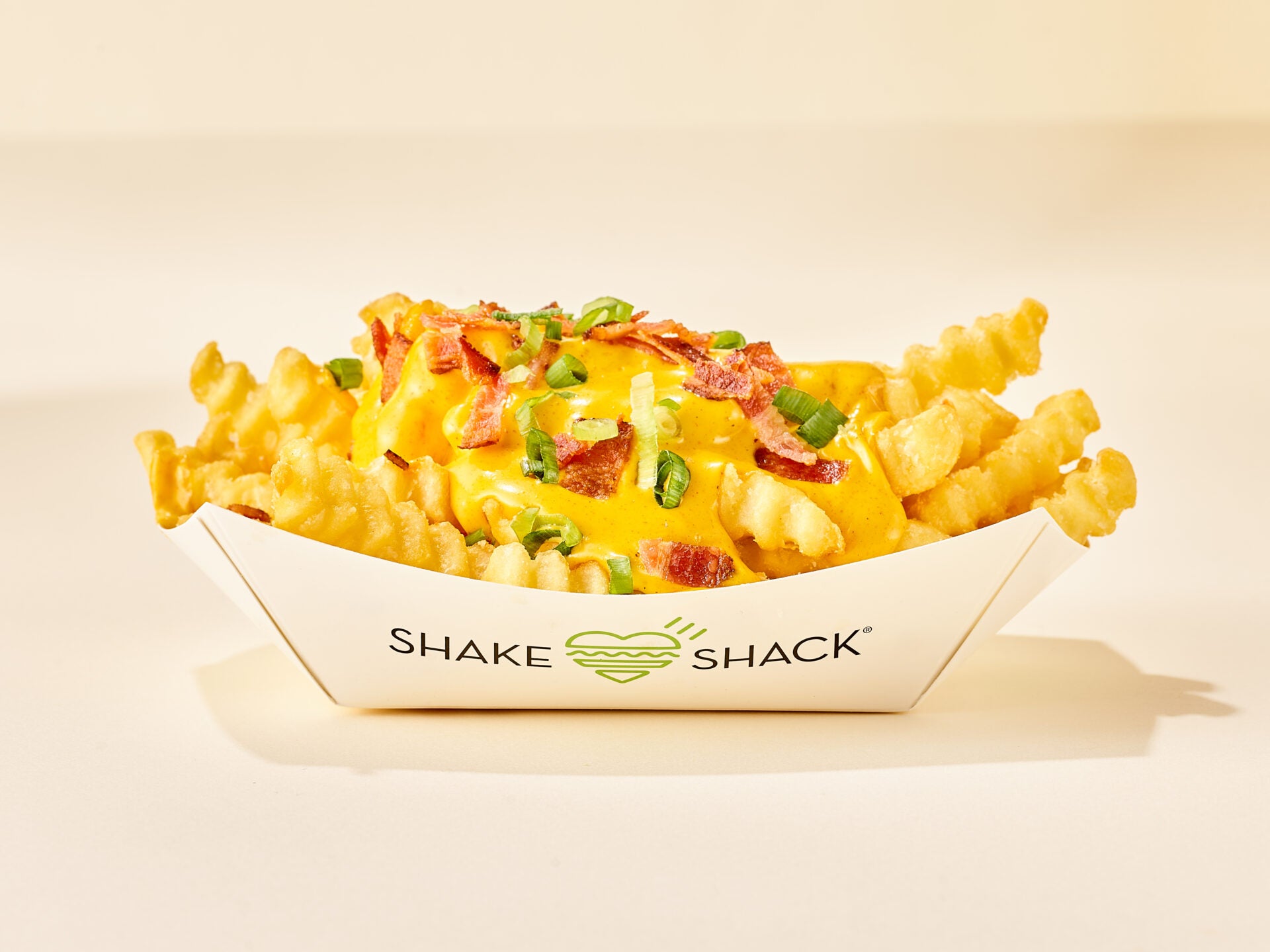 Human Made Curry Cheese Fries