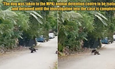 My Post 1 2025 09 04T160805.251