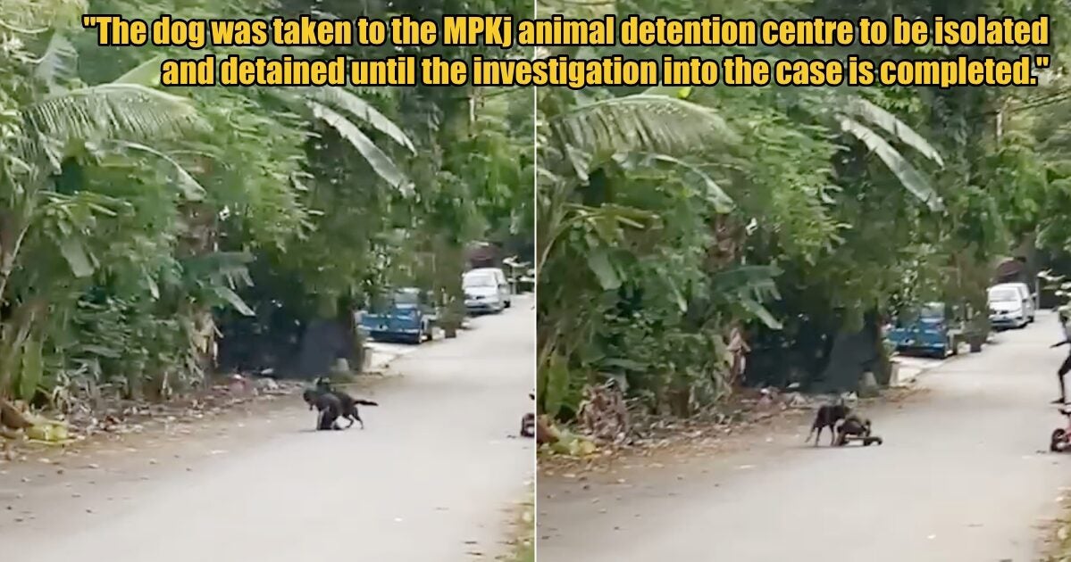 My Post 1 2025 09 04T160805.251