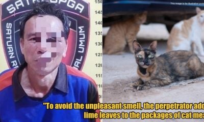 My Post 1 2025 09 05T092310.595