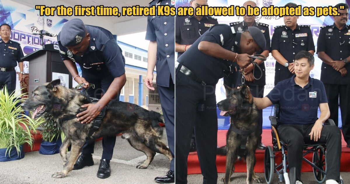 My Post 1 2025 09 05T114058.599