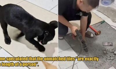 My Post 1 2025 09 10T102103.826