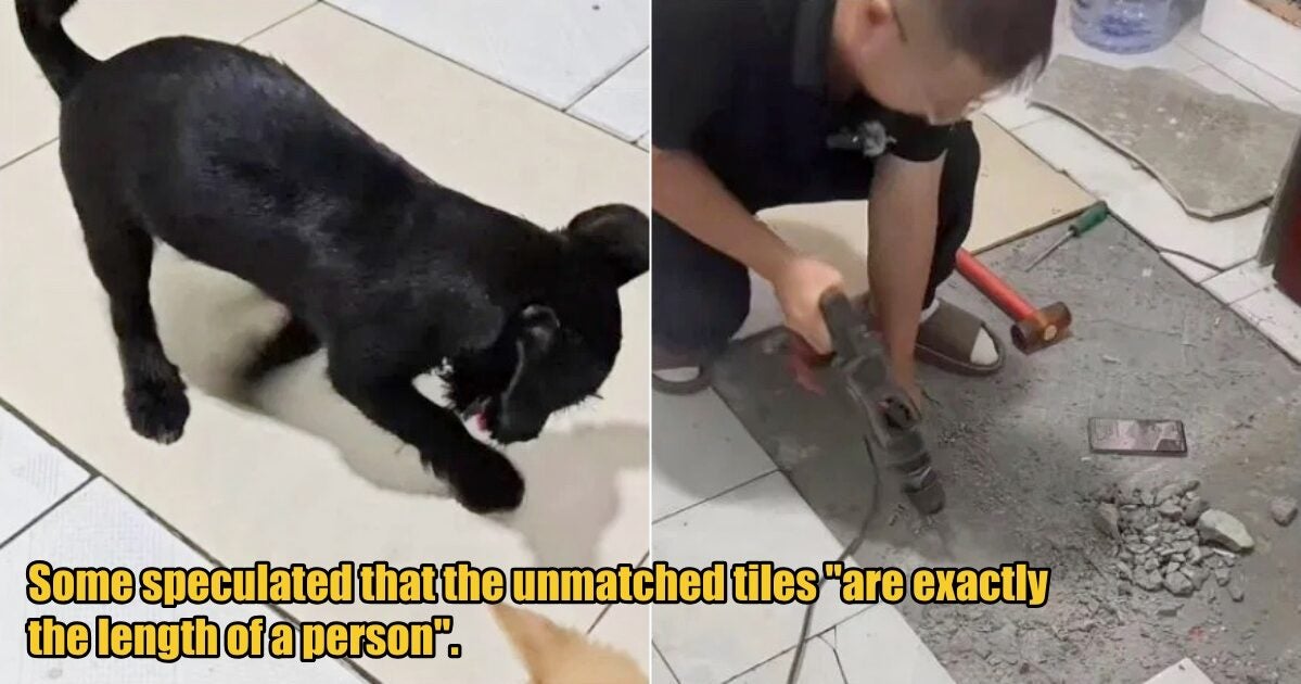 My Post 1 2025 09 10T102103.826