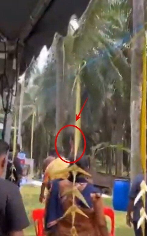 Screenshot 2025 09 03 104208