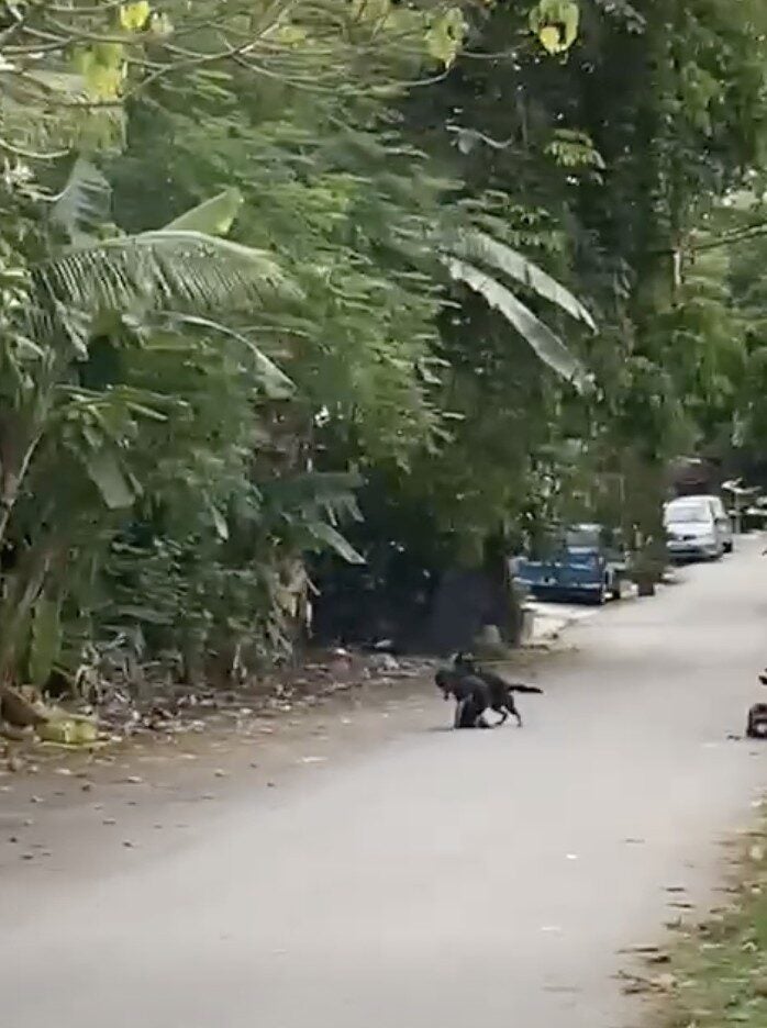 Screenshot 2025 09 04 at 4.03.18 PM