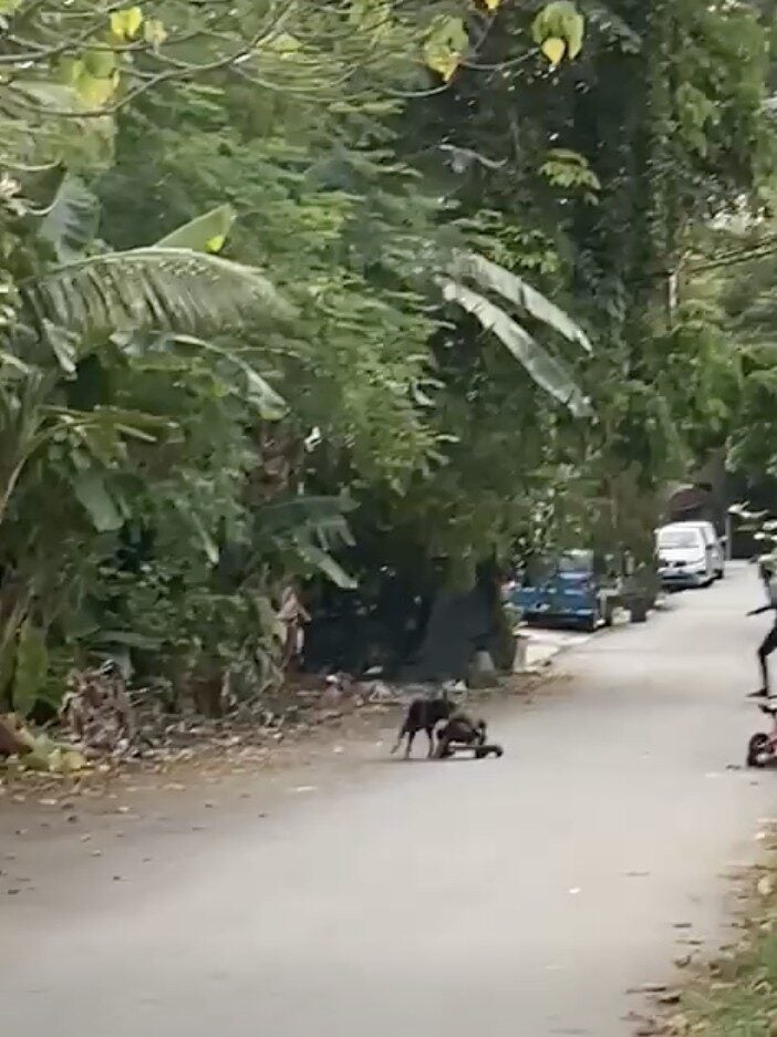 Screenshot 2025 09 04 at 4.03.59 PM