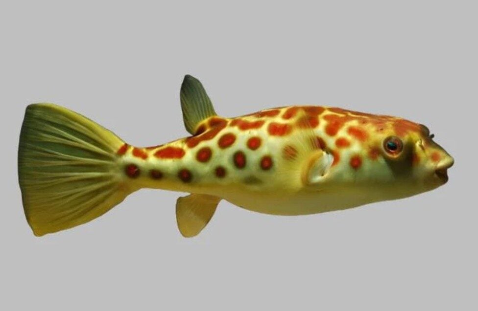 Screenshot 2025 09 17 113145