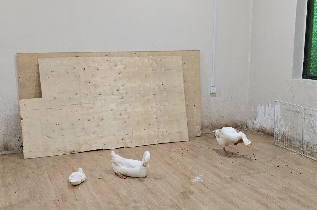 Screenshot 2025 09 22 160656