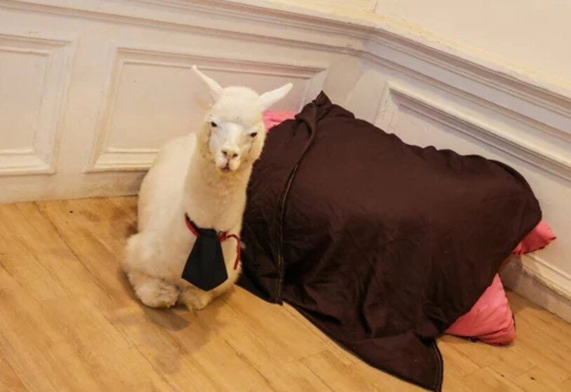 Screenshot 2025 09 22 161105