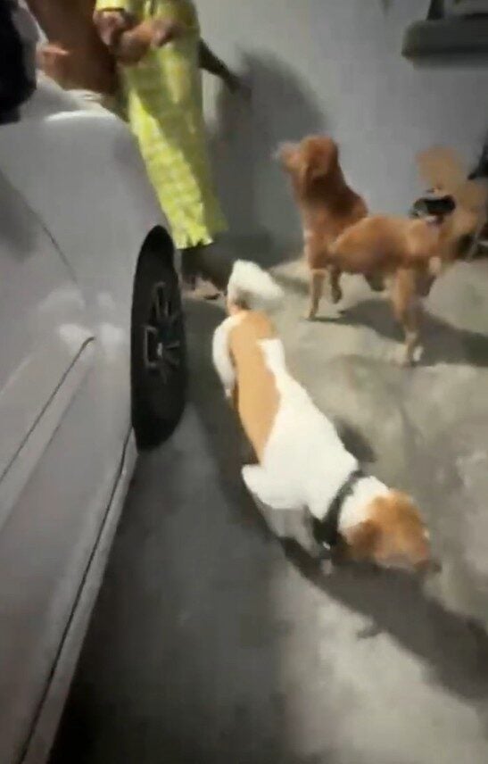 Screenshot 2025 09 29 095835