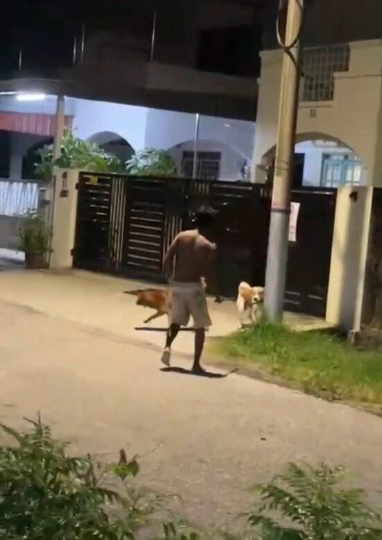 Screenshot 2025 09 29 100050