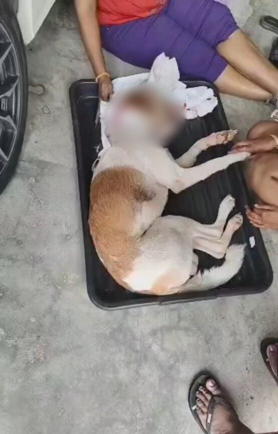 Screenshot 2025 09 29 100210