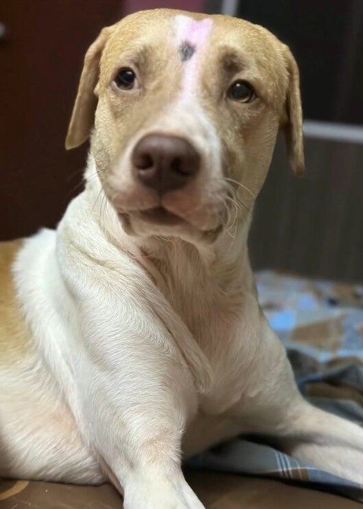 Screenshot 2025 09 29 100231