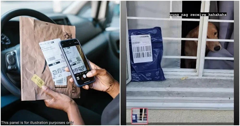 receive parcel doggo