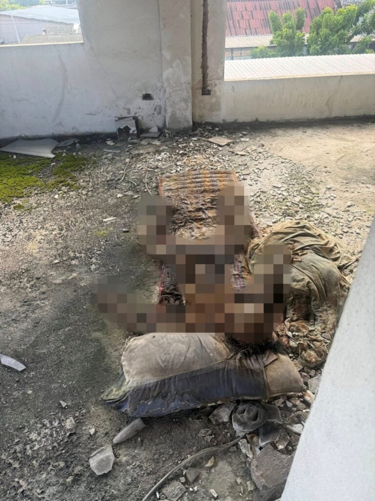 556919415 1985310878893758 2571832847637764206 n