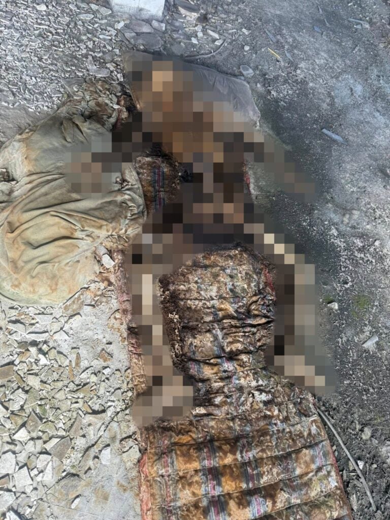 557038958 1985310892227090 5291797033391188806 n