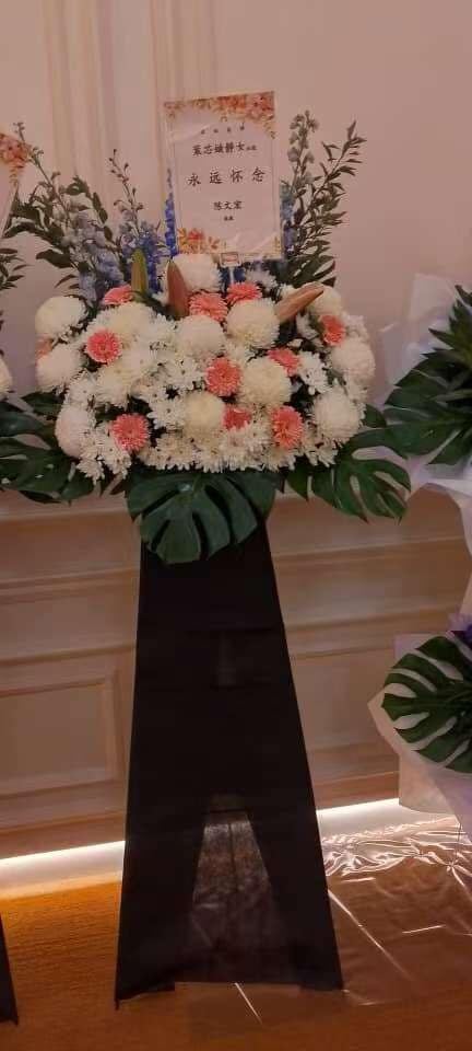 564618606 1384515506372116 4576961862437778827 n