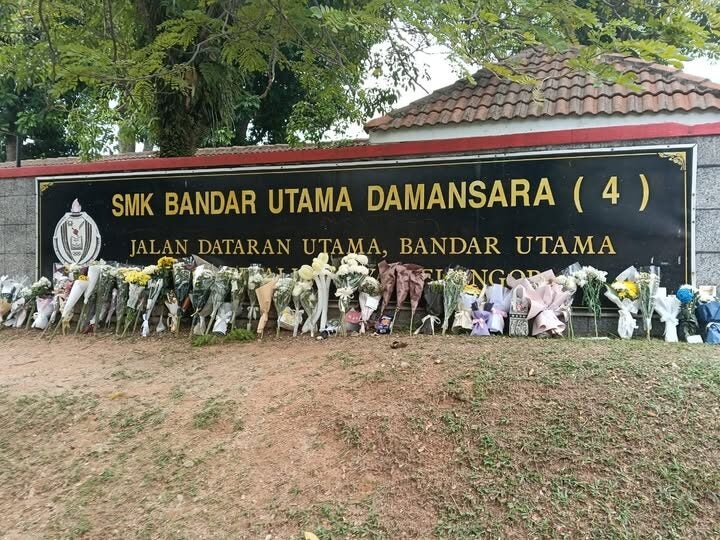 565776033 1302809988310958 6077239625612926362 n