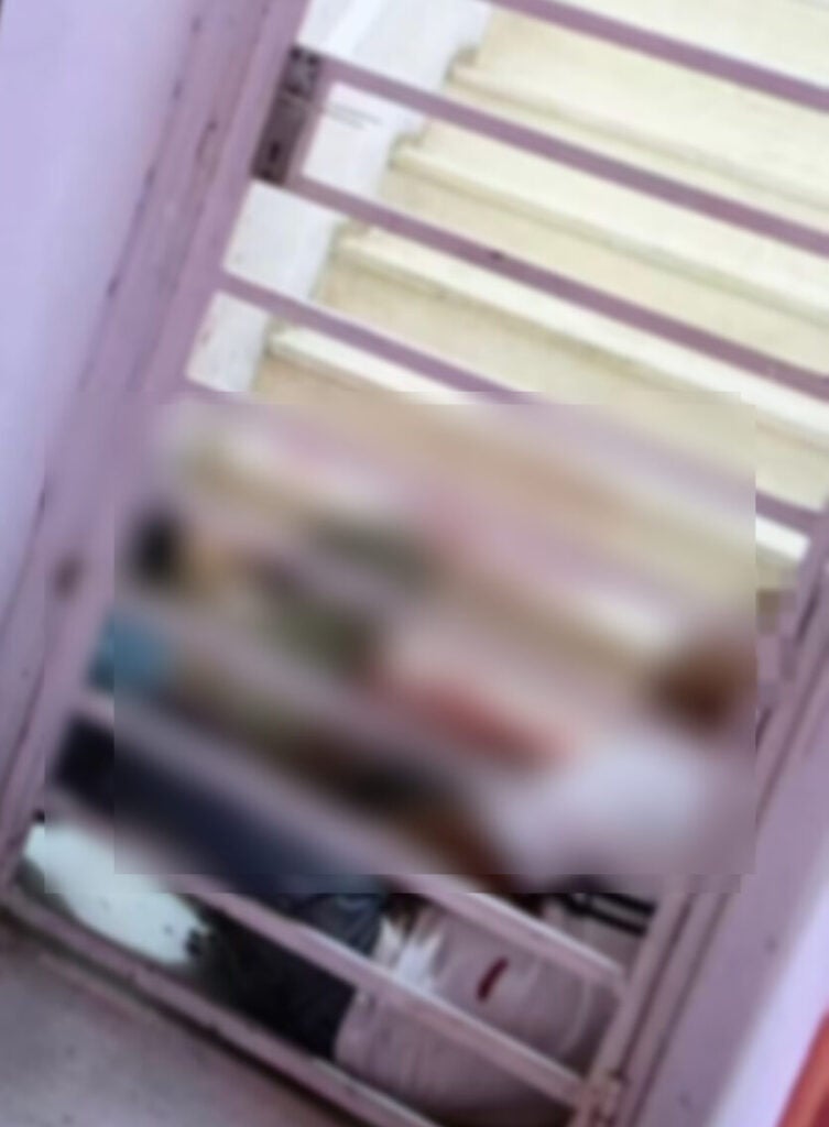 568310302 1275149554653810 1820554198884581386 n