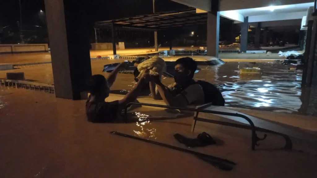 568456626 17925085164119668 4363106231784442543 n