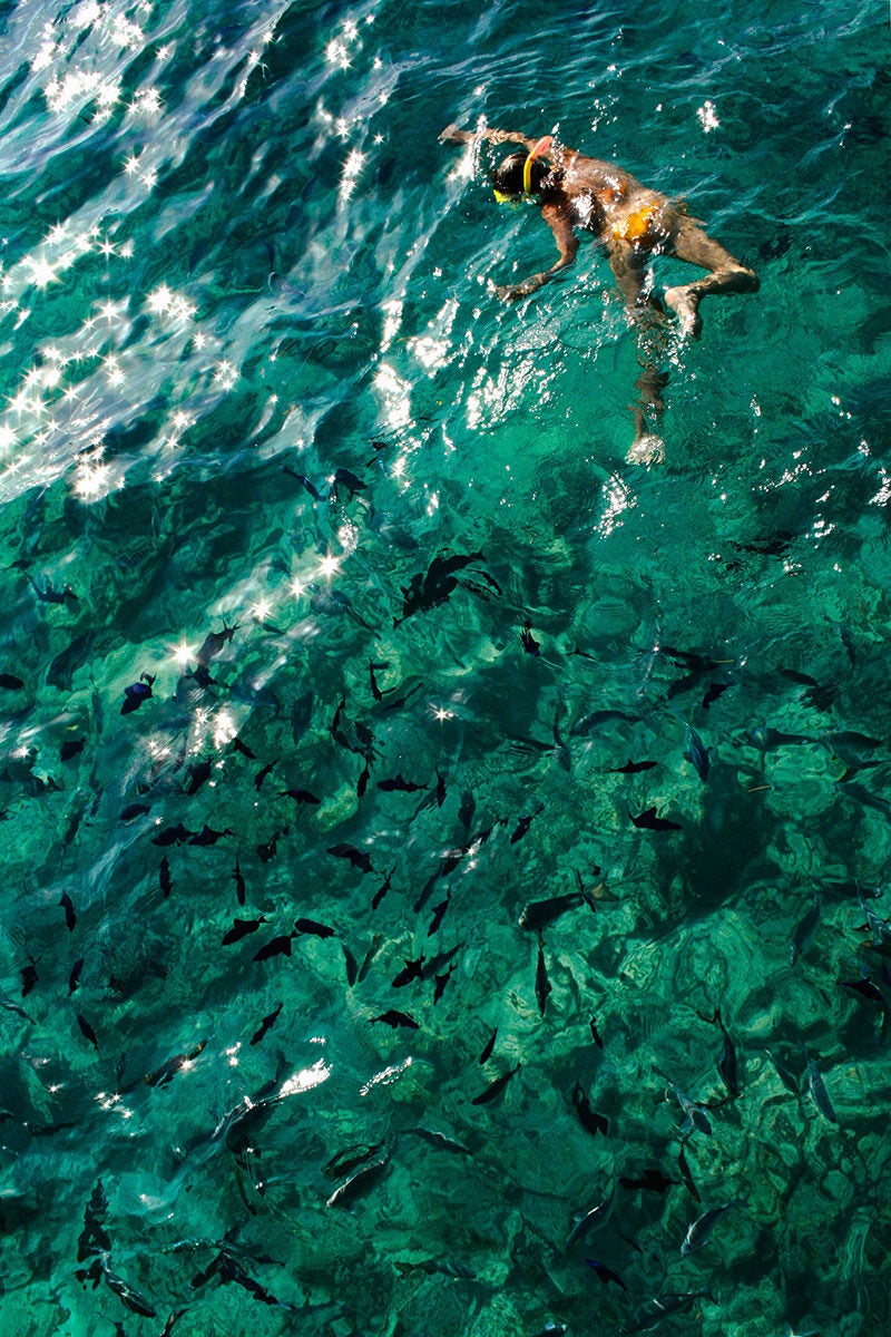 AAMaldives Intro snorkel desktop 1